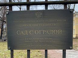 Академия художеств