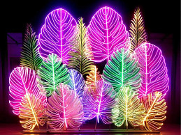 Фотозона из неона